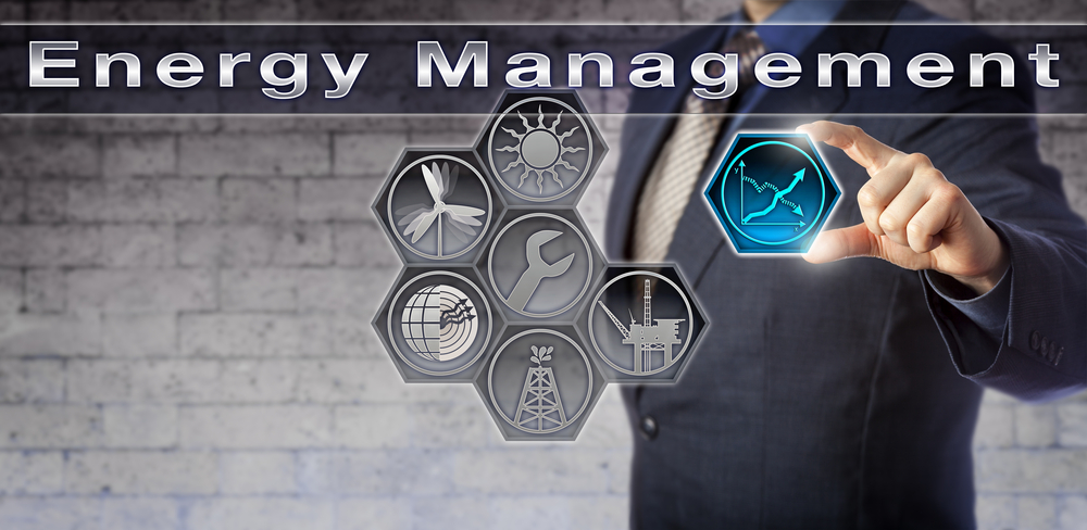 Strategies for Energy Management